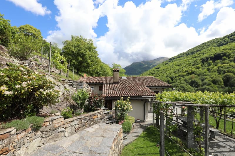 Joli Rustico dans un endroit calme et beau vignoble à Medeglia (4)
