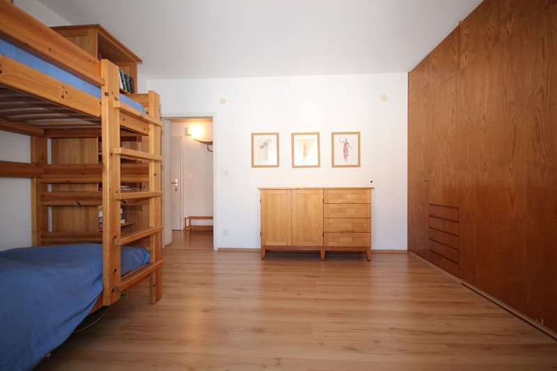 Delizioso appartamento di 2,5 locali con balcone e vista montagna ad Ascona (13)