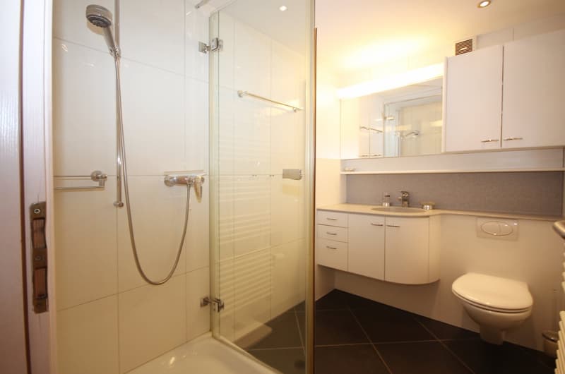 Delizioso appartamento di 2,5 locali con balcone e vista montagna ad Ascona (14)