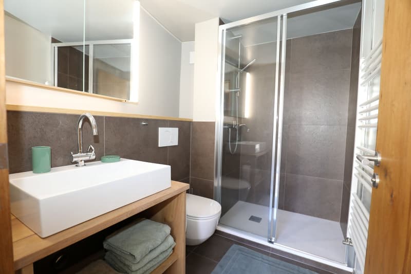 Appartement-maisonnette attractif, complètement rénové de 2,5 pièces (12)