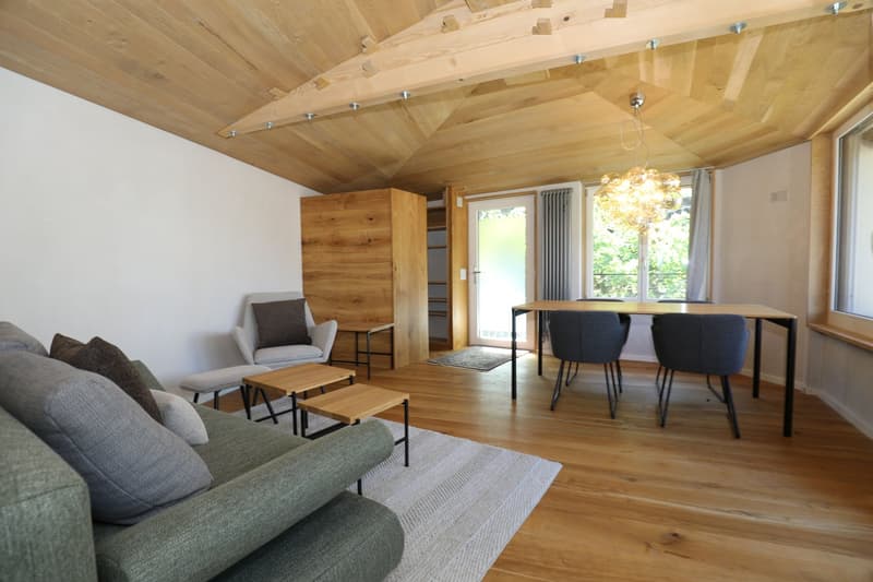 Appartement-maisonnette attractif, complètement rénové de 2,5 pièces (6)