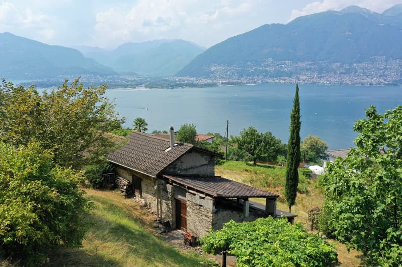 Comfortable Rustico with panoramic views of the lake and mountains in Gambarogno (5)