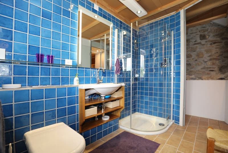 Comfortable Rustico with panoramic views of the lake and mountains in Gambarogno (16)
