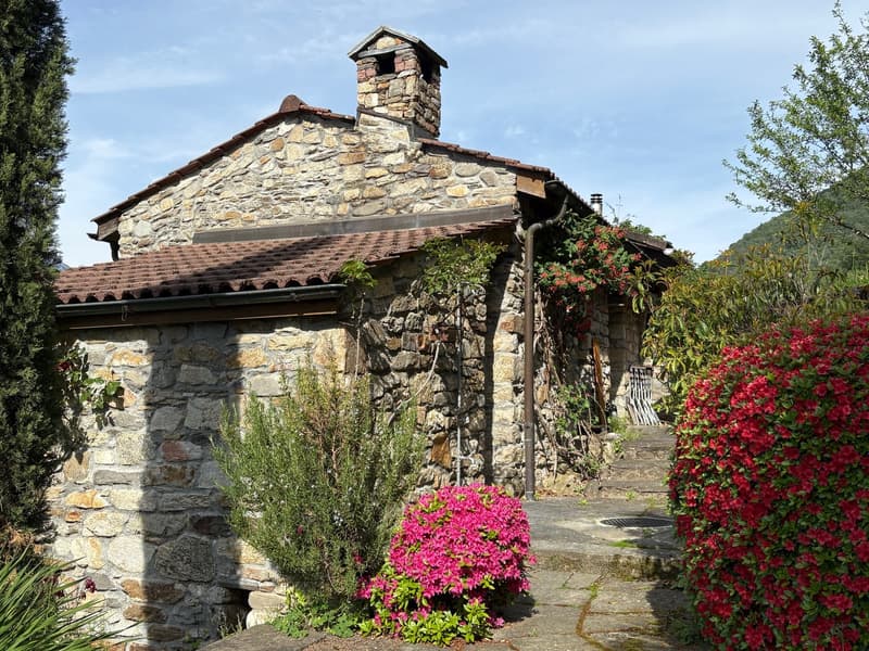 Comfortable Rustico with panoramic views of the lake and mountains in Gambarogno (7)