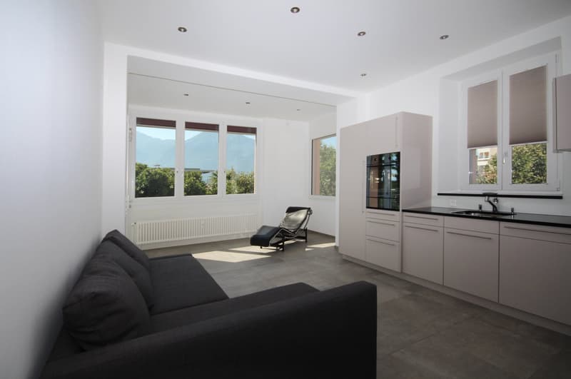 Appartamento accogliente di 2 camere a Minusio con balcone - Seconda casa (9)