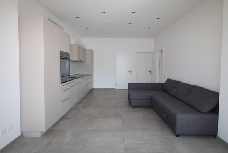 Appartamento accogliente di 2 camere a Minusio con balcone - Seconda casa (15)