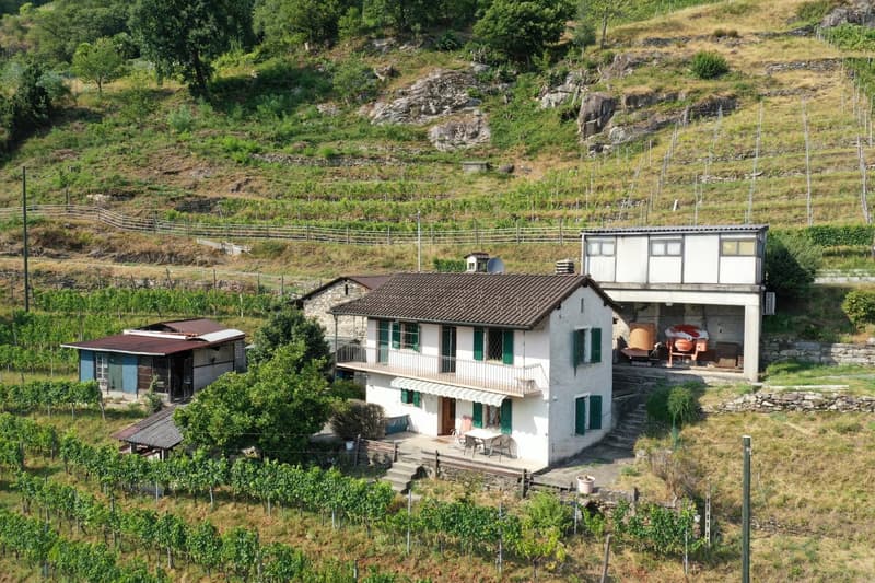 Haus inmitten von Rebbergen und schöner Weitsicht (2)