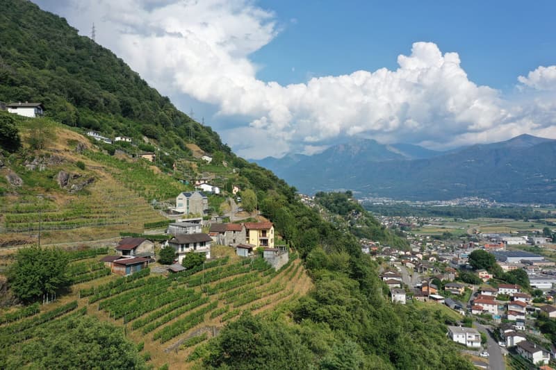 Haus inmitten von Rebbergen und schöner Weitsicht (15)