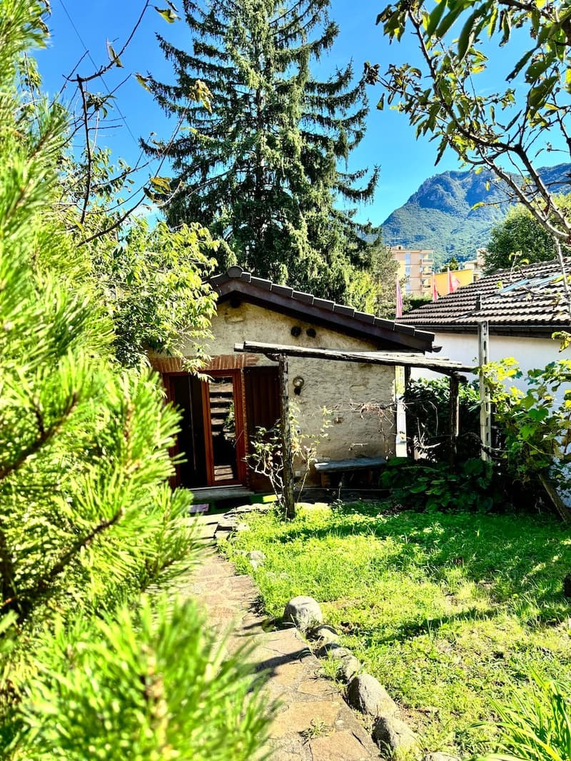 Small stone house with a wooden door, surrounded by lush greenery including a large pine tree, shrubs, and a grassy yard. The house appears to be situated in a mountainous area with a scenic backdrop.