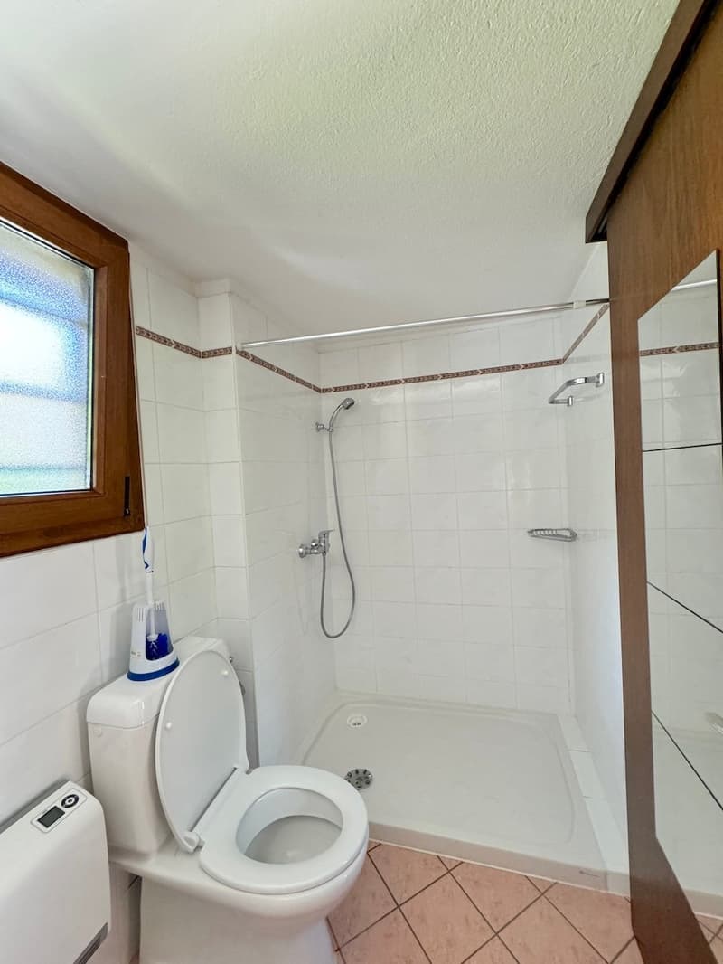 Bathroom with white tiles, toilet, shower, and a washing machine.