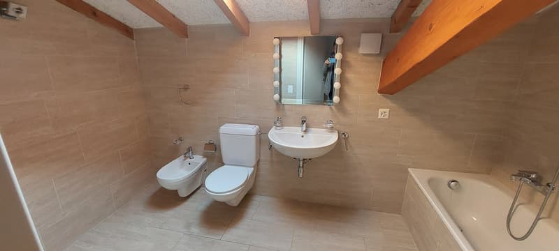 Loft im Herzen von Bellinzona mit großer Terrasse (10)