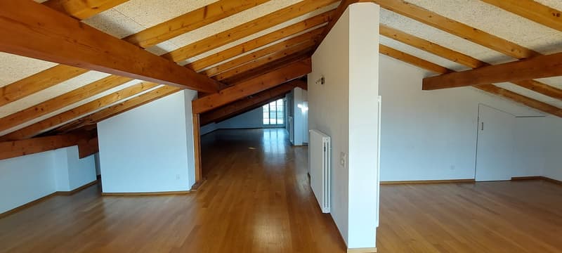 Loft im Herzen von Bellinzona mit großer Terrasse (9)