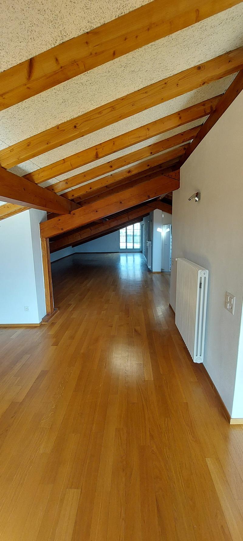 Loft im Herzen von Bellinzona mit großer Terrasse (7)