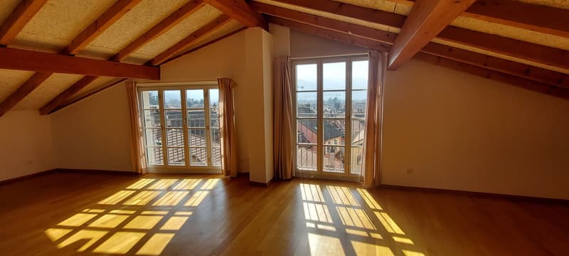 Loft im Herzen von Bellinzona mit großer Terrasse (5)