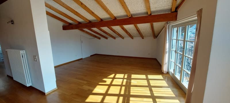 Loft im Herzen von Bellinzona mit großer Terrasse (6)