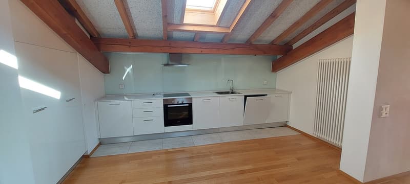 Loft im Herzen von Bellinzona mit großer Terrasse (8)