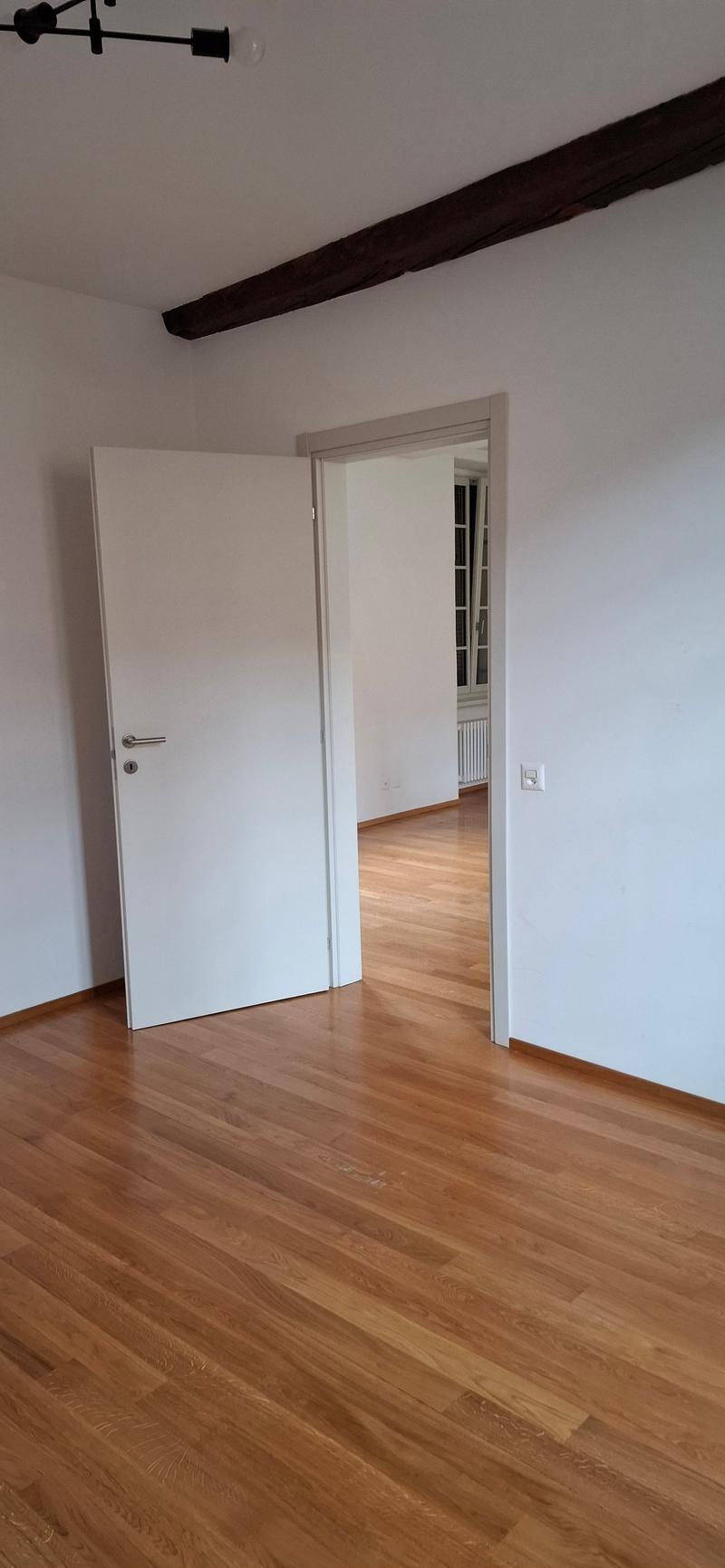 Apartment in the heart of Bellinzona with balcony (4)