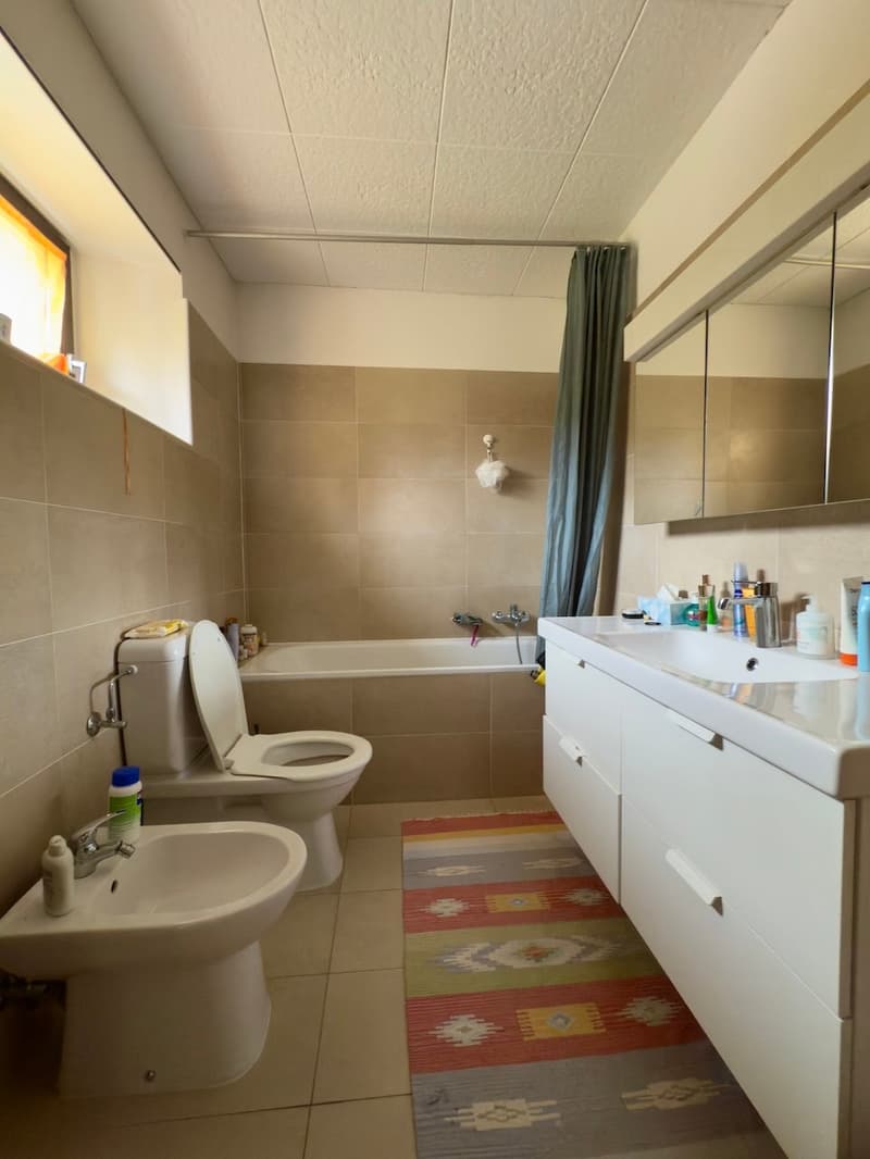 The image shows a bathroom with beige tile walls, a bathtub, a toilet, a vanity with a sink, and a colorful patterned rug on the floor.