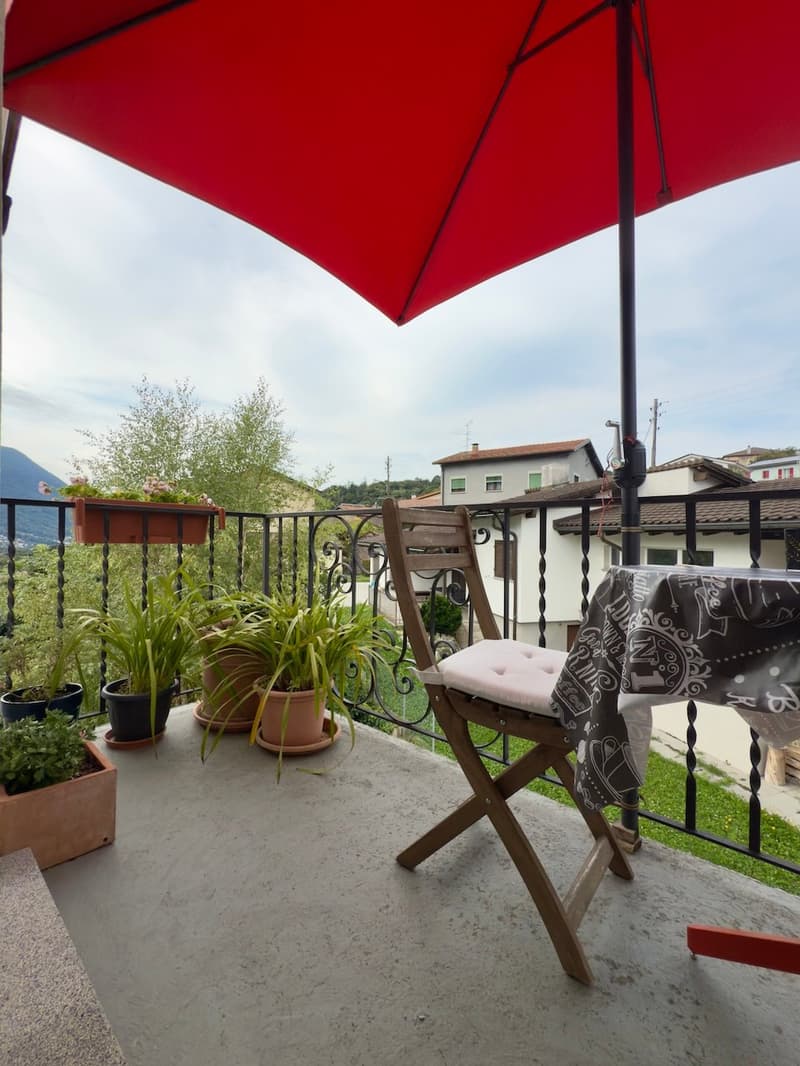 Red umbrella, wooden chair, potted plants, railing, view of buildings and trees