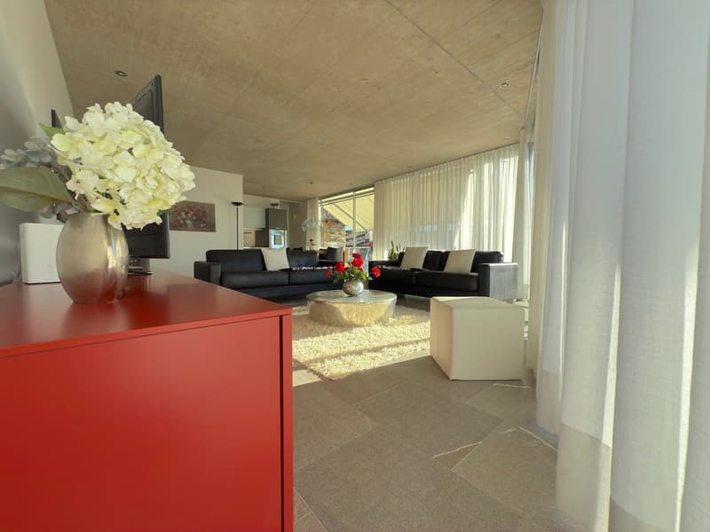 Moderna Casa Unifamiliare con grande terrazza (6)