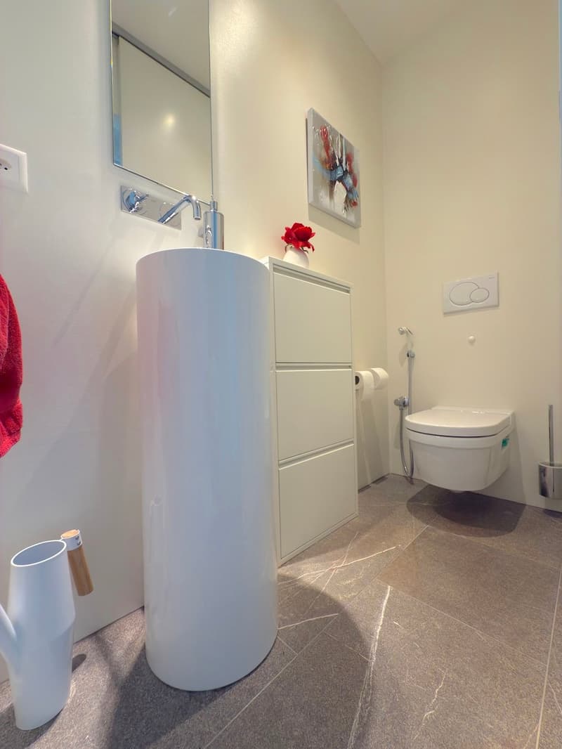 Moderna Casa Unifamiliare con grande terrazza (15)