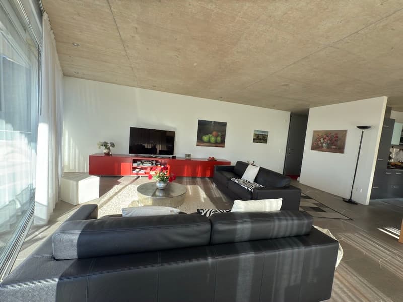 Moderna Casa Unifamiliare con grande terrazza (5)