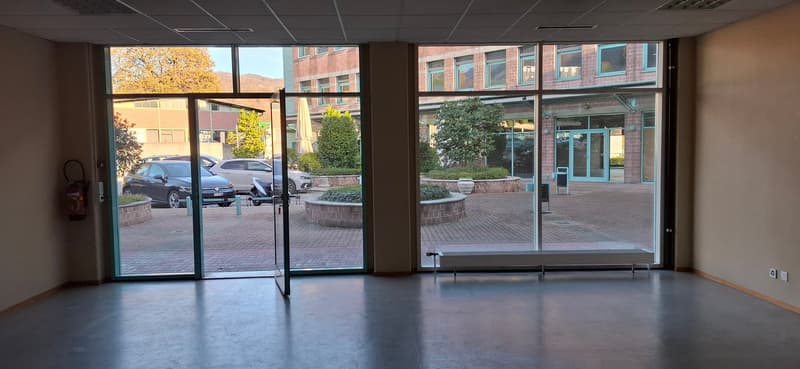 Commercial premises/shop in Manno (2)