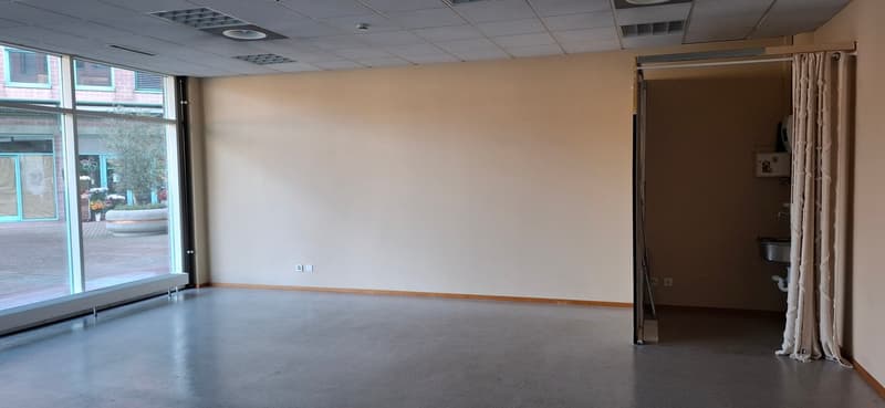 Commercial premises/shop in Manno (3)
