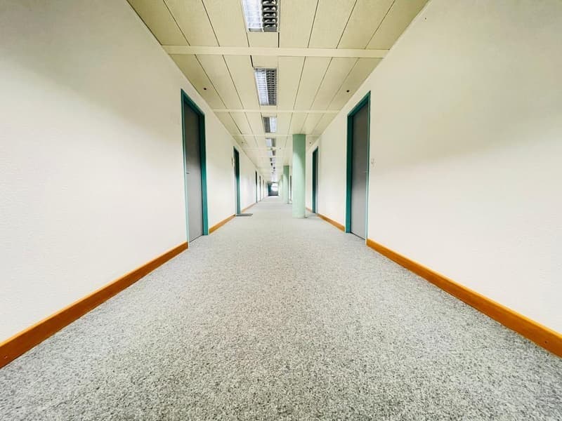 long hallway, white walls, grey carpet, fluorescent lights