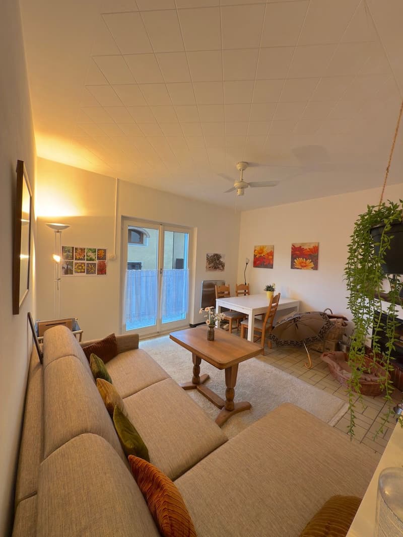 living room with sofa, center table, dining table with 4 chairs, painting, open balcony with sliding door, ceiling fan, radiator