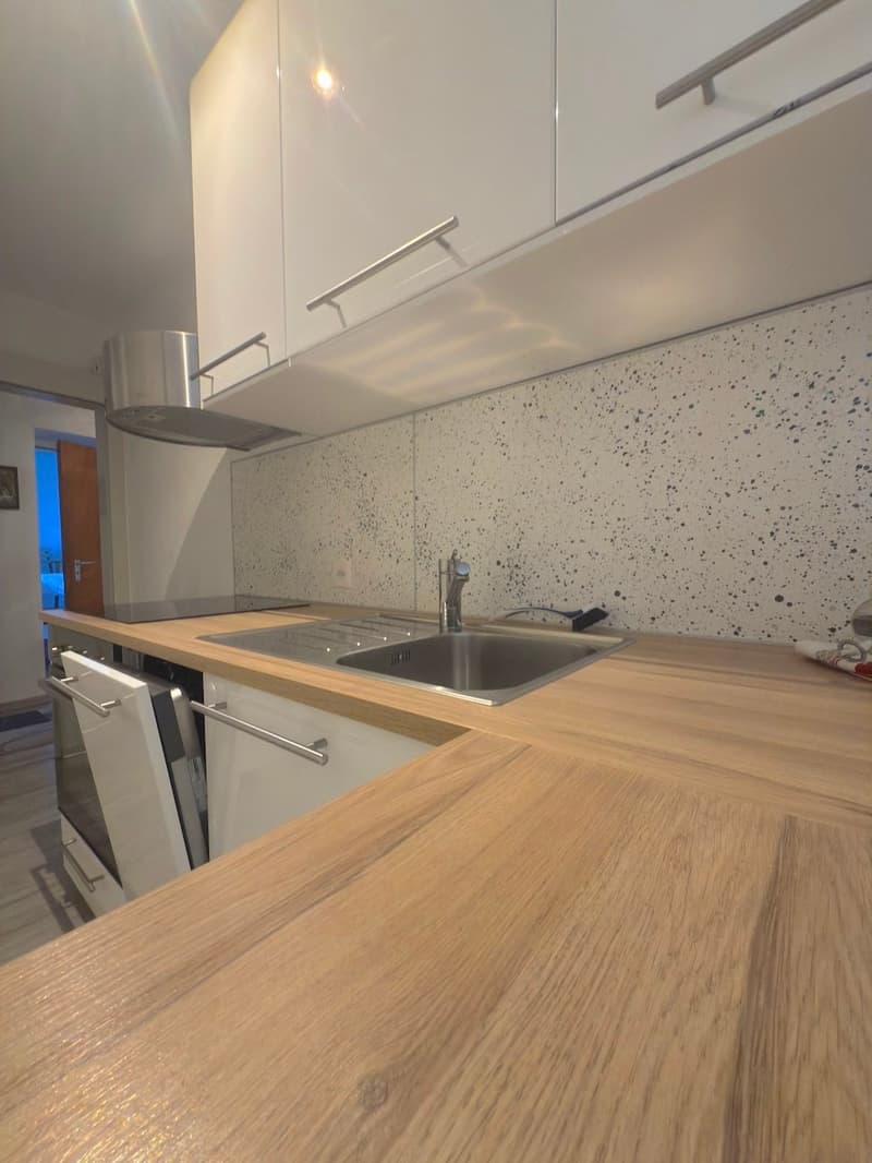 Stainless steel sink, wooden countertop, modern cabinets, gas stove, dishwasher