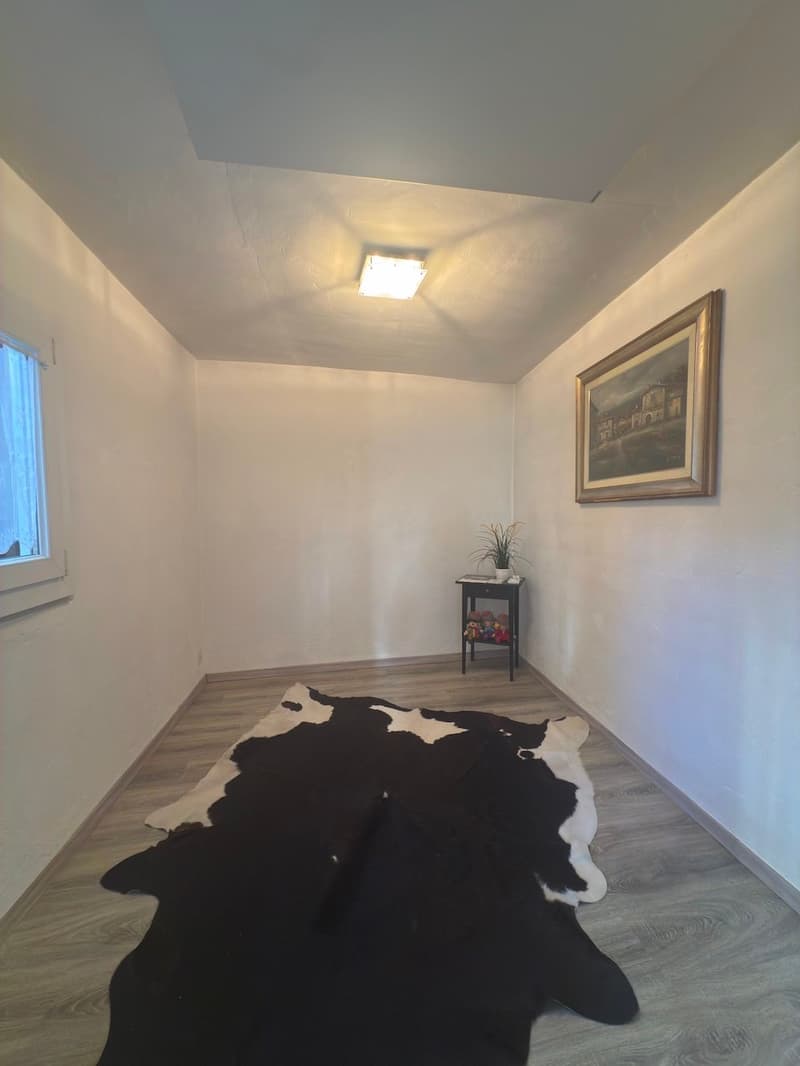 Empty room with a black and white cow hide rug, small table with a potted plant, and a framed painting on the wall.
