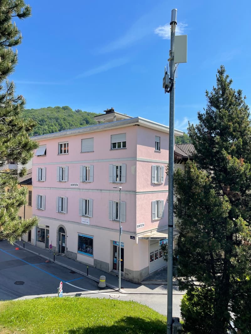 A two-story pink building with several windows, a sloped roof, a streetlight, trees, and a mountain in the background.