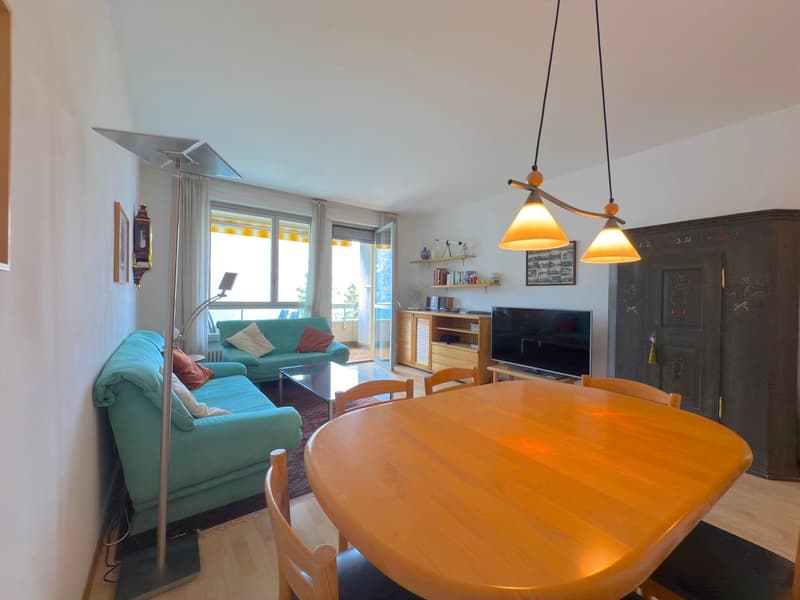 light wooden floor, dining table, couch, coffee table, television, floor lamp, shelves