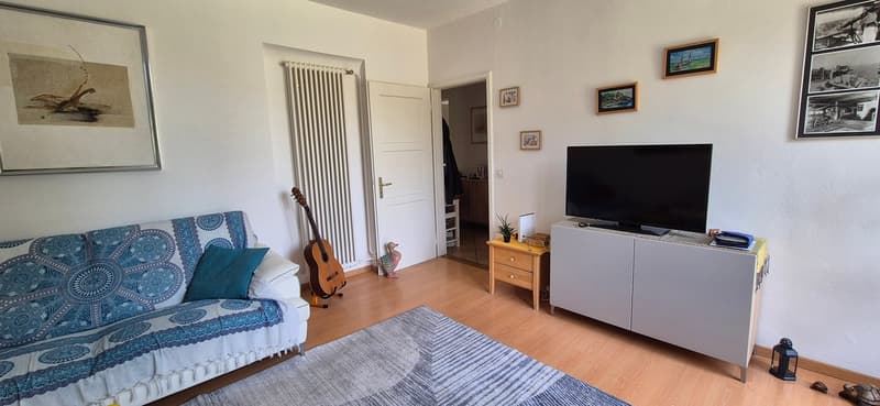 Living room with a couch, a guitar, a TV, a wooden cabinet, a radiator, and a rug.