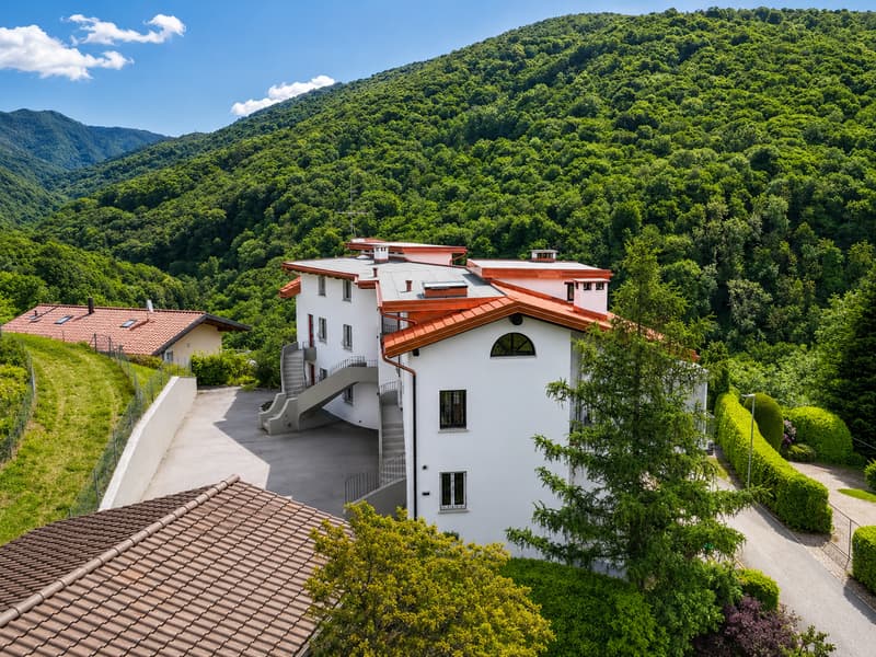Appartamento con grande terrazza (5)