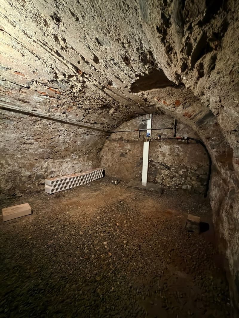 Casa Ticinese di carattere con splendido giardino e massima privacy a Bogno (30)