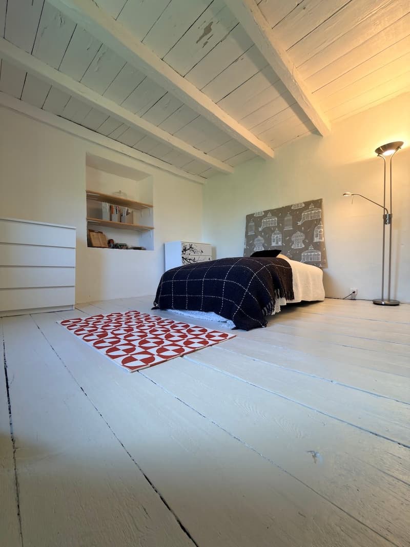 Casa Ticinese di carattere con splendido giardino e massima privacy a Bogno (20)
