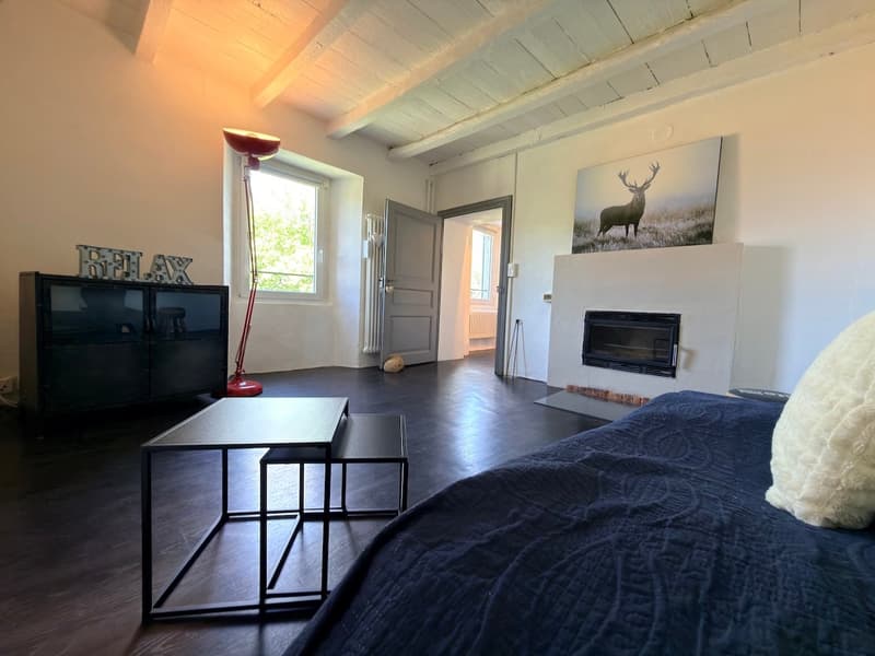 Casa Ticinese di carattere con splendido giardino e massima privacy a Bogno (22)