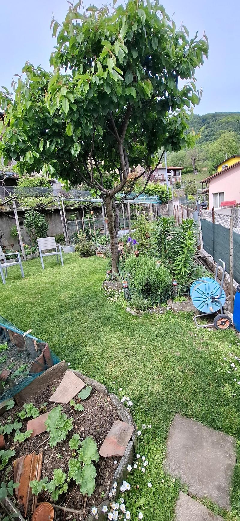Casa ai margini del nucleo con giardino (3)