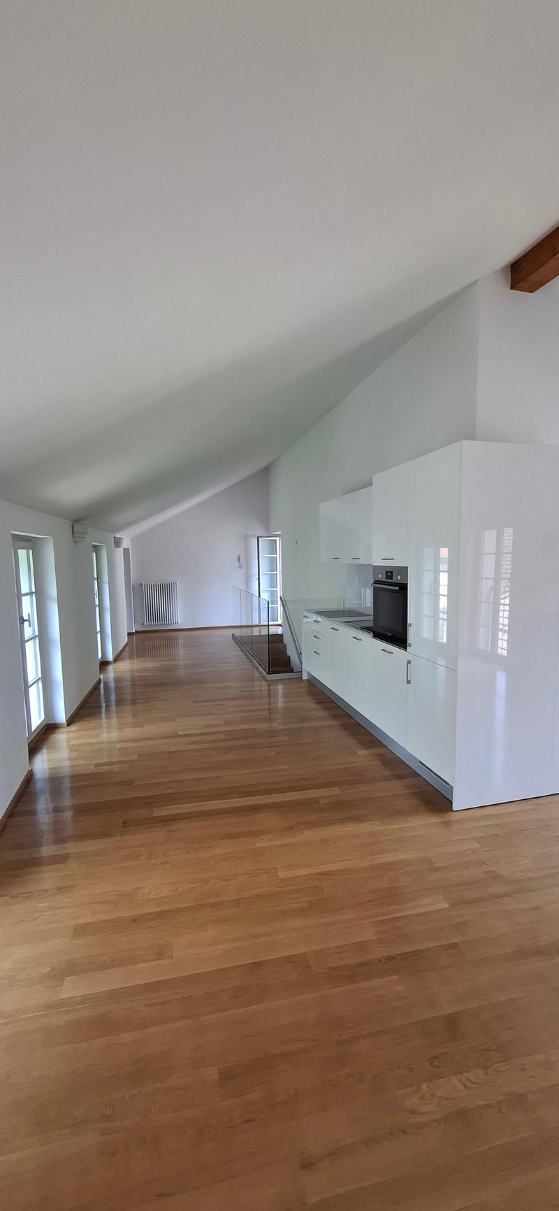 Splendido appartamento nel cuore di Bellinzona con balcone (3)