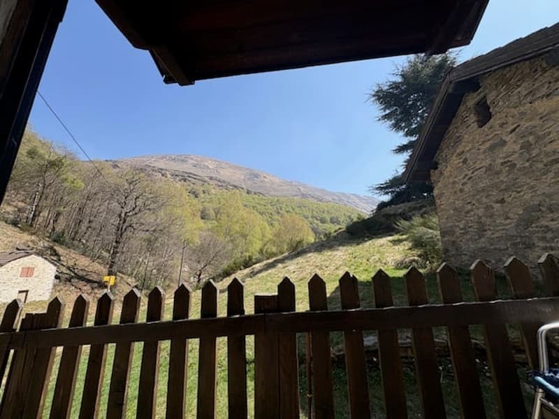 Piccolo Rustico immerso nella natura, in zona tranquilla e soleggiata (7)
