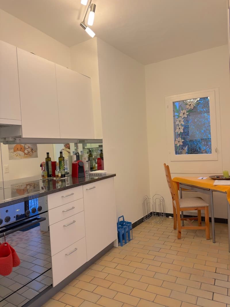 Casa unifamiliare nel nucleo di Bigorio (12)
