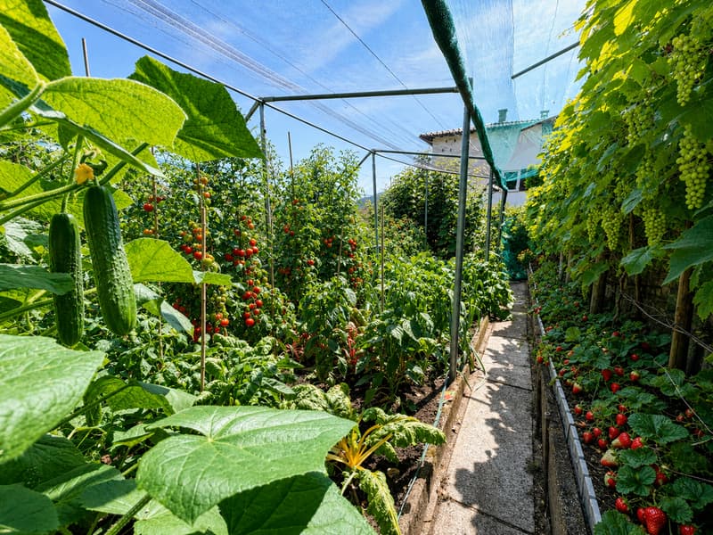 Casa unifamiliare con piscina e giardino (10)