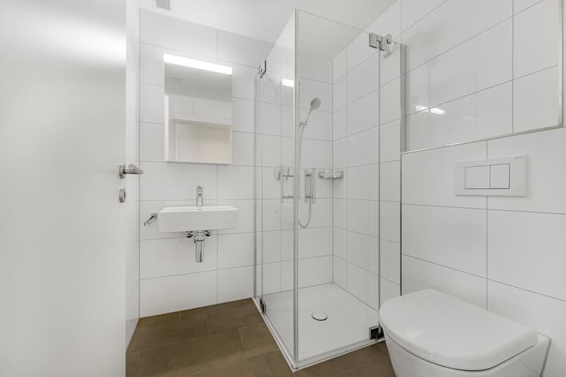 Appartement de 3,5 pièces lumineux à louer (4)