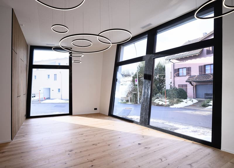 Moderne Gewerbefläche im schönen Menzingen (2)