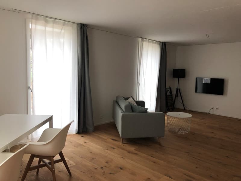 Appartement meublé de 1,5 pièces avec espace de séjour à Rorbas (2)