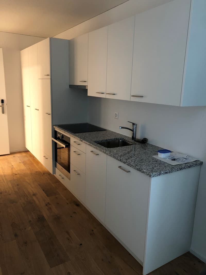Appartement meublé de 1,5 pièces avec espace de séjour à Rorbas (3)