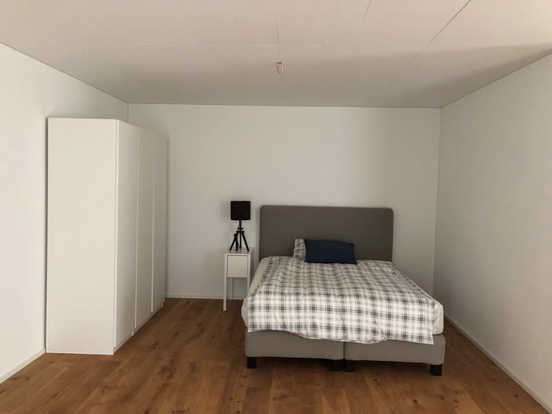 Appartement meublé de 1,5 pièces avec espace de séjour à Rorbas (4)
