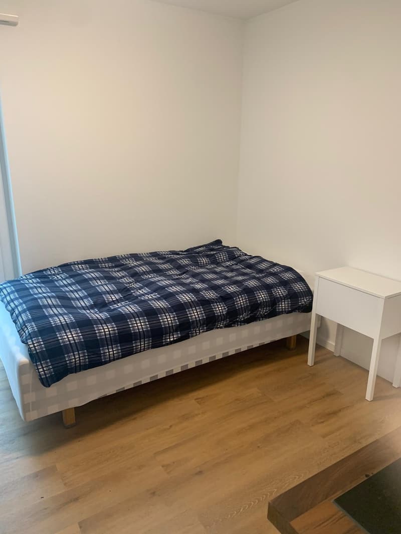 Studio meublé avec balcon à un emplacement optimal à Zug (2)